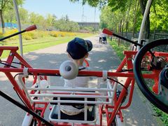 -永定河休闲森林公园