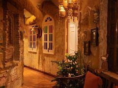 -叶叶菩提(太原别墅店)