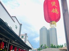 -一煲鸽