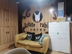 -白兔子密室(长寿路店)