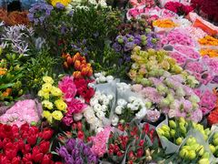 -双季花艺园艺市场(浦东店)