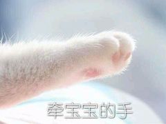 -小杨生煎(成山巴黎春天店)