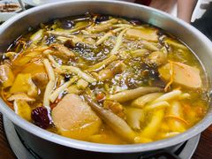 -菌极鲜野生菌火锅店(阳明祠店)