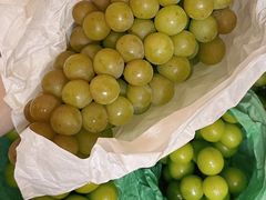 -马陆小张葡萄园农家乐