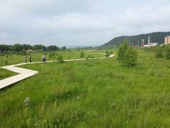 -塞罕坝国家级自然保护区