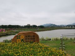 -光明小镇欢乐田园