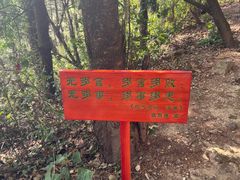 -寂照庵