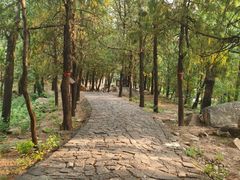 -泰山风景名胜区-普照寺
