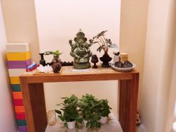 -阿南达·瑜伽普拉提·阿育吠陀疗愈中心