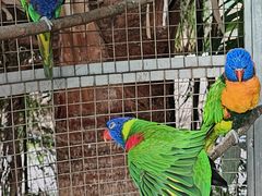 -大连森林动物园