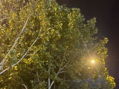 -吾家香港烧腊专门店