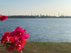 -露天矿生态公园