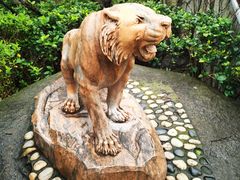 -杭州半山国家森林公园