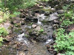 -峡谷浮石林景区