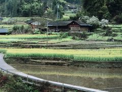 -梧桐山风景名胜区