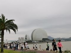 -野狸岛
