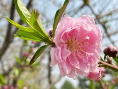 -北京西山国家森林公园