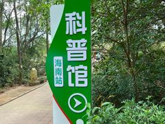 -广东惠东海龟国家级自然保护区