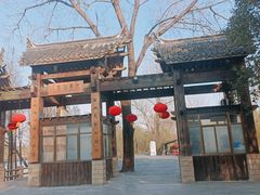 -溱湖国家湿地公园