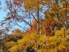 -苏州河梦清园环保主题公园