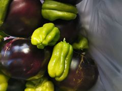 -庞各庄翠芳园西瓜蔬菜基地采摘园