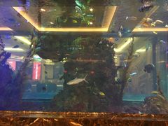 -碧桂园凤凰城酒店(南京店)