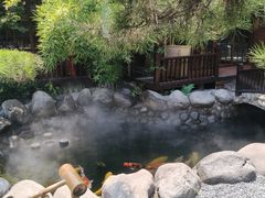 -拉面莊夢語＆中华料理八椿
