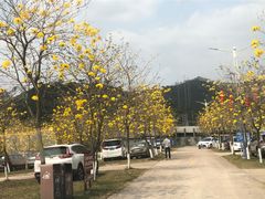 -田园寨农园观光园