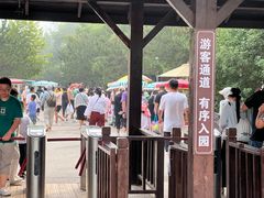 -日照海滨国家森林公园