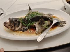 -五谷芳乳鸽王(海景店)