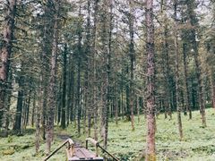 -硗碛藏寨·神木垒景区