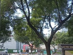-蝎王府羊蝎子(虎坊桥总店)