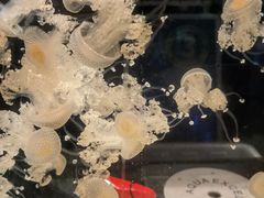 -沈阳海洋探索中心