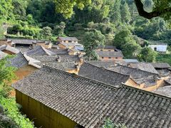 -杨家堂村