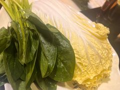 -芦月轩羊蝎子(劲松店)