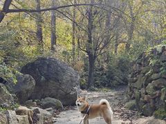 -北京密云天门山风景区