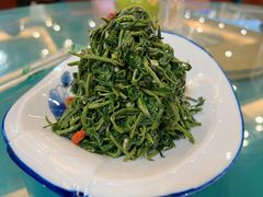 清香枸杞苗-国强手抓(北京西路店)