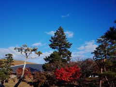 -奈良公园