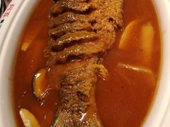 红烧黄河鲤鱼-阿五黄河大鲤鱼(英协路店)
