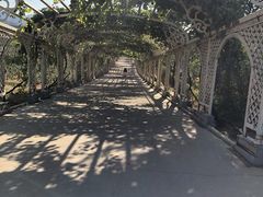 -北京张裕爱斐堡酒庄