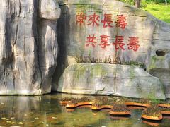 -南山植物园