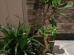 -云境生态园(红谷滩店)