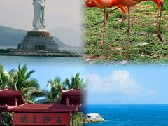 -三亚蜈支洲岛旅游区