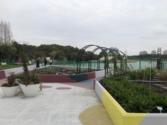 -黄兴公园