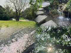-深圳仙湖植物园