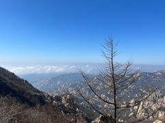 -崂山巨峰游览区