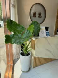 -慈蕊美容养生·专业经络调理