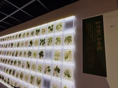 -广东中医药博物馆