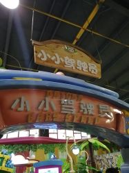 -维佳童话镇演出现场(徐东店)