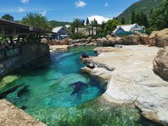 -珠海长隆海洋王国